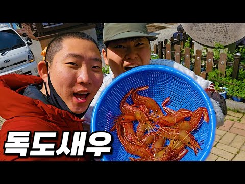 선응이형이랑 울릉도 가서 독도 새우 90,000원치 먹방!
