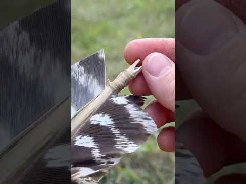 How to make primitive arrows, part 1 #archery #survival #camping #outdoors #hunting #bushcraft