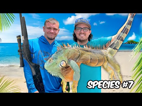7 Days Chasing Florida's Most Invasive Species!