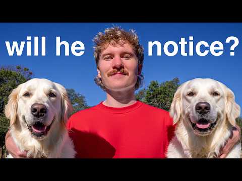 I Replaced My Neighbors Pets With Lookalikes