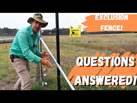 Electric Exclusion Fencing Explained: Top Questions Answered + Pro Setup Tips!