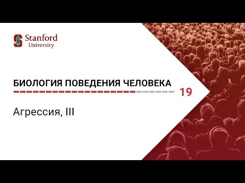 Биология поведения человека: Лекция #19. Агрессия, III [Роберт Сапольски, 2010. Стэнфорд]