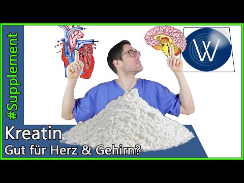 Creatine: Effects & Prevention - Can our heart, bones & brain also benefit from the supplement?
