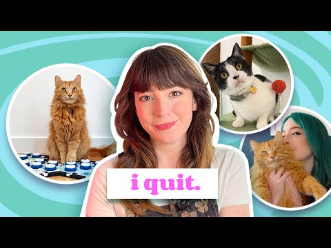 Don't Buy This Cat Tree: The Ethics of Influencing