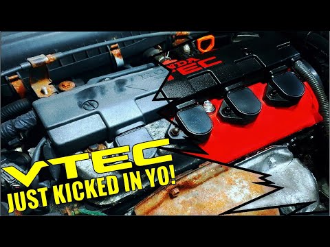 Honda B16 Rocker Cover Restoration ( OEM Wrinkle ).....Sorry D16