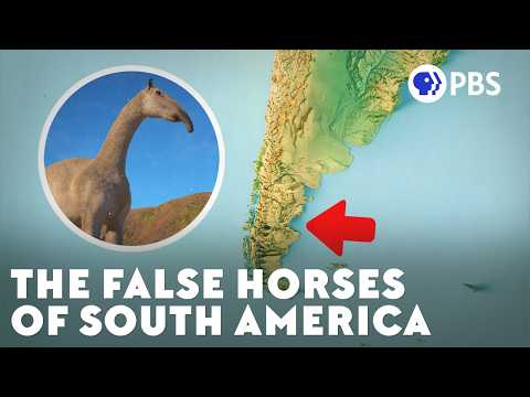 The Mystery of South America's False Horses