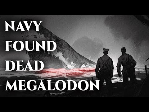 Navy Shocked After Finding a Dead Megalodon in the Atlantic Ocean