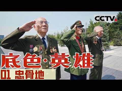 《底色·英雄》01 忠骨地：抗美援朝中牺牲的志愿军战士 他们的名字被镌刻在陵园烈士英名墙上【CCTV纪录】