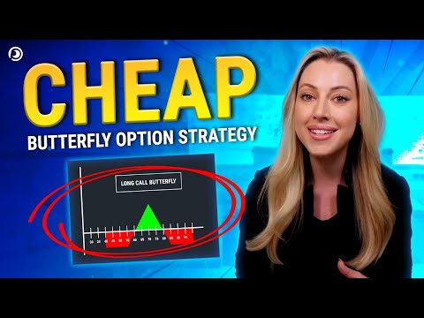 Long Call and Put Butterfly Option Strategy l 2024 Best Tips