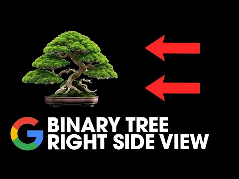 Binary Tree Right Side View - 199. LeetCode - Java