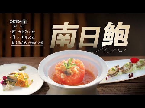 [三餐四季]南日鲍——以食物之名 示天地之爱|CCTV