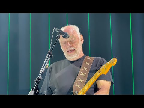 David Gilmour - Comfortably Numb (11-5-24 @ MSG)