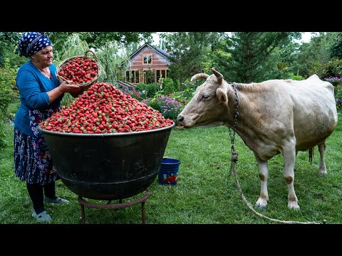 🍓🍊 Homemade Strawberry Orange Jam Recipe