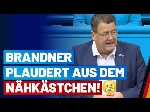 So läuft es hinter verschlossenen Türen! - Stephan Brandner zum Vermittlungsausschuss - AfD-Fraktion