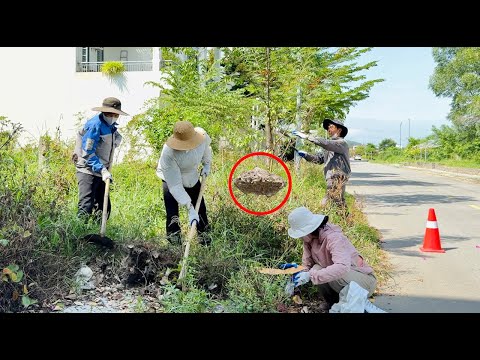 Danger on grassy and tree-covered sidewalk between two beautiful houses