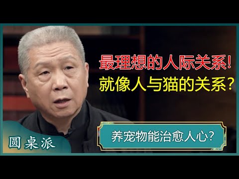 马爷告诉你养宠物的最大好处,看完一定要养一只!#窦文涛 #梁文道 #马未都