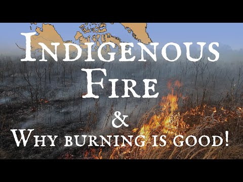Indigenous Fire and Why Burning is Good