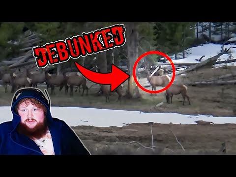 CaseOh Debunks Creepy Internet Videos
