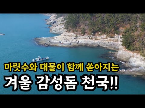 감성돔 낚시는 여기로 가세요 제발