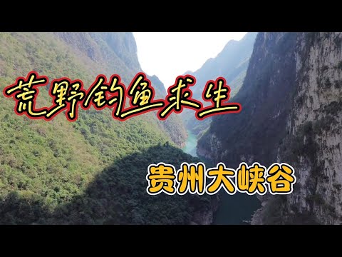 荒野钓鱼求生之贵州大峡谷！#荒野钓鱼求生