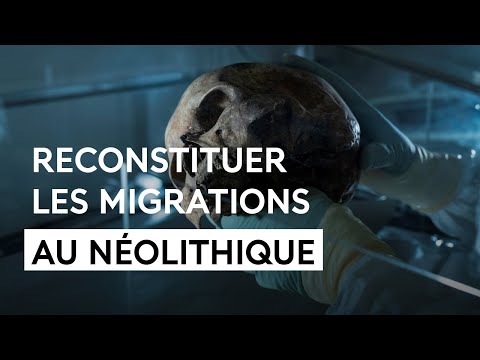 Ce que la paleogénétique nous apprend sur l'Europe néolithique