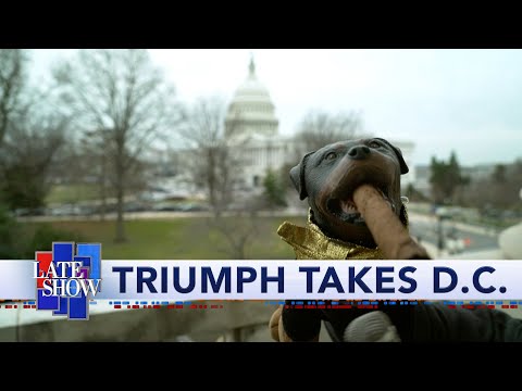 Triumph The Insult Comic Dog Goes To Washington To Cover Trump's Impeachment Trial