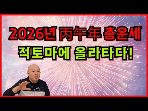 2026년 丙午年 총운세 적토마에 올라타다!
