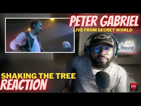 PETER GABRIEL - SHAKING THE TREE [SECRET WORLD LIVE]