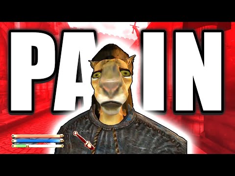 ELDER SCROLLS OBLIVION IS A PERFECTLY BALANCED GAME WITH NO EXPLOITS - Excluding Custom Magic Only