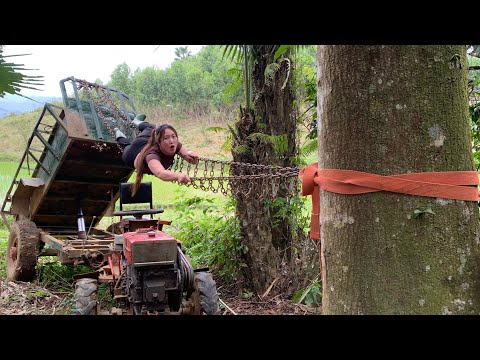 Agricultural vehicle capable of digging up and transporting trees alone