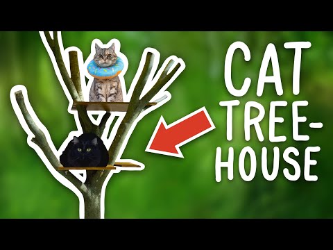 I Built A TREEHOUSE For My Cats! (NEW Catio)