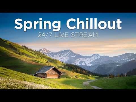 Winter Chillout 2026 ❄️ 24/7 Live Stream ⛄ Best Chill House Winter Music by We Are Diamond