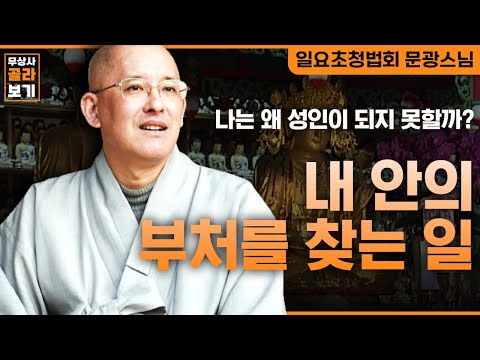 나는 왜 성인이 되지 못할까? 내 안의 부처를 찾는 일 [무상사 골라보기 문광스님]