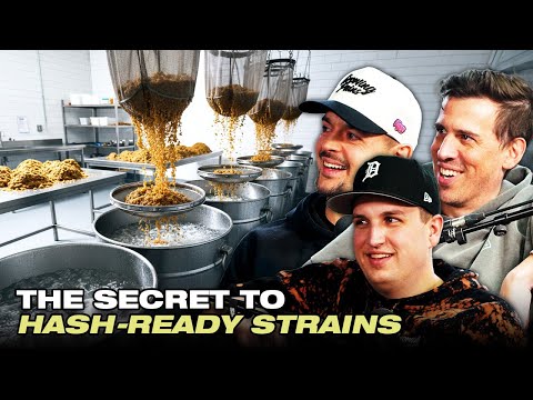 Why Jar Tech Decides Everything in Hash Making