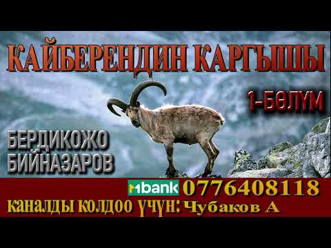 КАЙБЕРЕНДИН КАРГЫШЫ \ 1-БӨЛҮМ \ БЕРДИКОЖО БИЙНАЗАРОВ