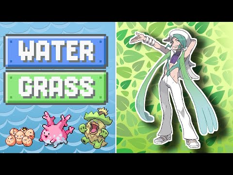 I made 8 DUAL TYPE Pokémon Gym Leaders