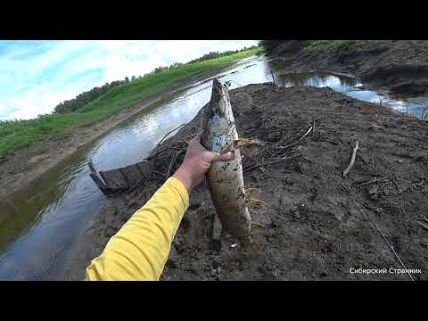 A dried-up river full of pike. I wouldn't swim in it.