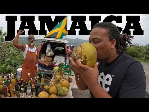 Ratsa Man In Kingston Jamaica Teaches Me Yard Life