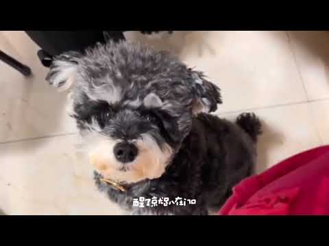 #摩登兄弟劉宇寧 #lyn 呆米妹妹和愛ta的哥哥🌹