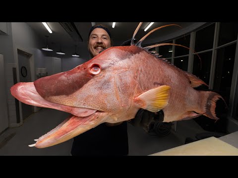 The Fish Everyone Asks Me About