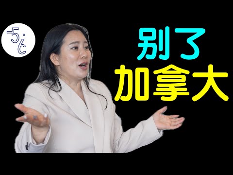 放弃加拿大移民，回到那个伤我最深的地方！