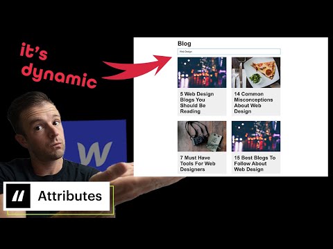 Searchable Webflow CMS in 10 minutes with Finsweet Attributes