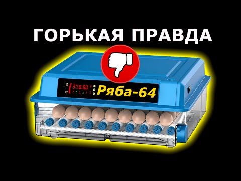 Ряба 64 Откровенный Обзор на Инкубатор