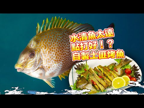 【漁人推介】阿火帶大家出海潛水，水清魚太遠，有什麼方法可以打到魚？回家製作土匪烤魚 Catch and Cook Seafood Recipe Cumin Powder Grilled Fish