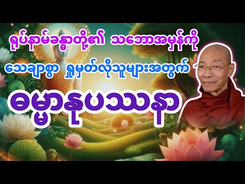 ဓမ္မာနုပဿနာ (ရုပ်နာမ်ခန္ဓာကို ရှုမှတ်ခြင်း) ပါချုပ်ဆရာတော် @dhammasitala