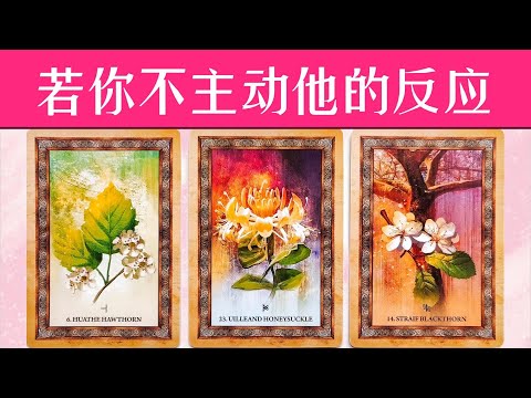 如果你不再主動，他是什麽反應？回頭猛追你？放任感情消失？他爲什麽總讓你主動？  |曖昧|愛情|戀愛|桃花|塔羅占卜|