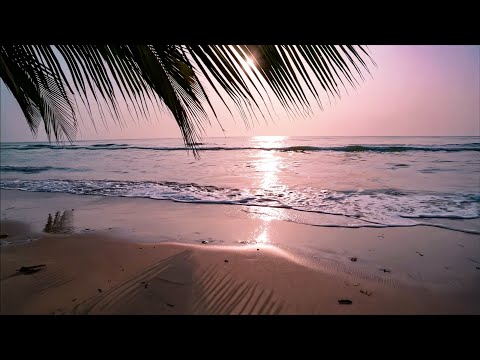 Calming Chill Music – Tropical Music for Study, Work & Relax | Chill Guitar & Lo-Fi Beats