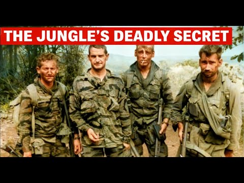 Why the Best Hunters in Vietnam Moved in Reverse