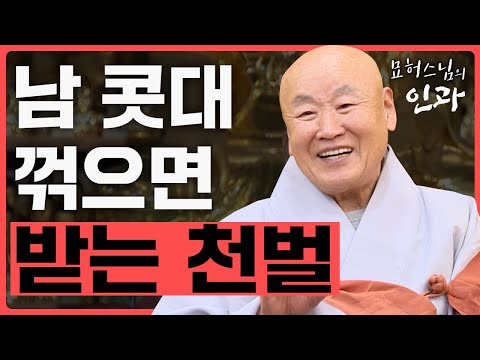 남 콧대 꺾지 말고 내 콧대 꺾어야 복이 스스로 찾아온다.  [묘허스님의 인과 32회]