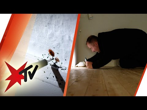 Bettwanzen-Plage: Unterwegs mit dem Schädlingsbekämpfer | stern TV
